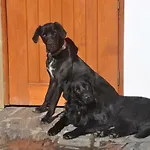 Quinta Do Bom Vento Летний дом *