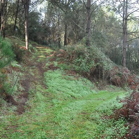 乡村民宿 Quinta Do Bom Vento
