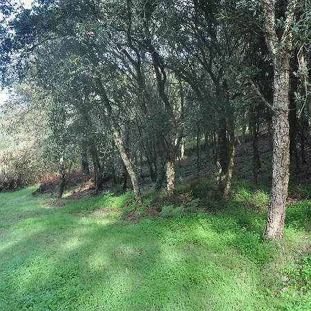 Gospodarstwo wiejskie Quinta Do Bom Vento *