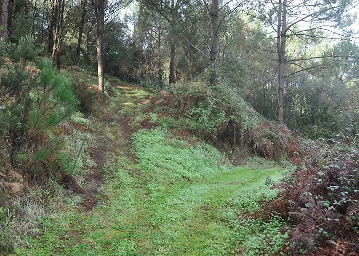 乡村民宿 Quinta Do Bom Vento