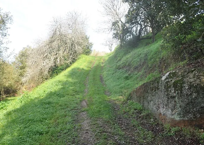 Quinta Do Bom Vento 乡村民宿 奥比多斯