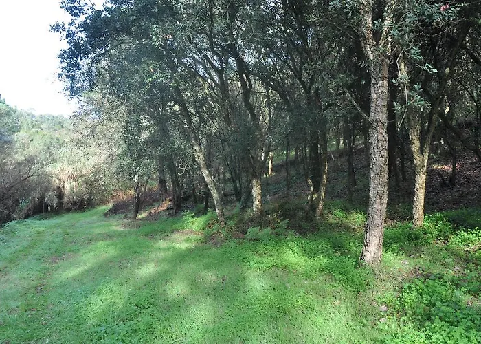 Летний дом Quinta Do Bom Vento *