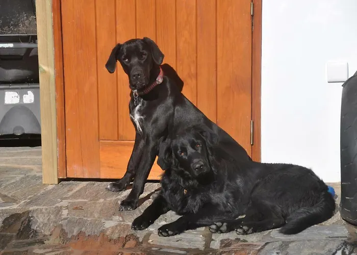 Quinta Do Bom Vento Летний дом *